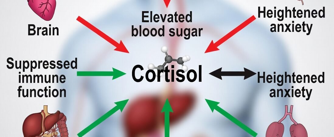 Cortisol, Stress, and Sleep: How Chronic Stress Hijacks Your Circadian Rhythm